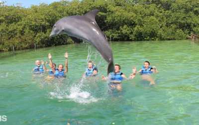 Baño con Delfines Swim with Dolphins