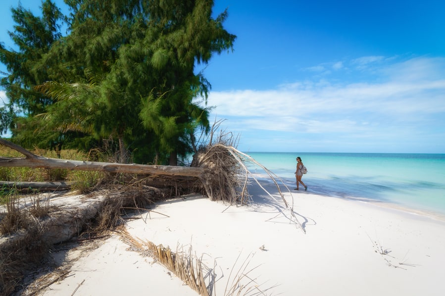 Private tour to Cayo Jutias - Lunch included Private tour to Cayo Jutias - Lunch included
