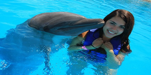 Nager avec des dauphins Swimming with Dolphins by Non