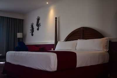 Playa Luxury Varadero - Habitación Sencilla - Sólo Adultos Playa Luxury Varadero - Single