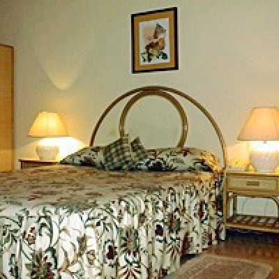Kohly  - Single Room Kohly  - Single by No