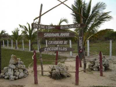 Criadero de Cocodrilos - Sabanalamar Crocodile Farms - Sabanalamar