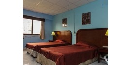 Bella Habana Aeropuerto - Single Room