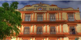 La Havane – fabrique de tabac