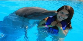 Baignade avec des dauphins