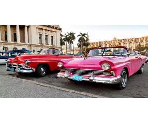 Panoramic city tour in Classic Cars